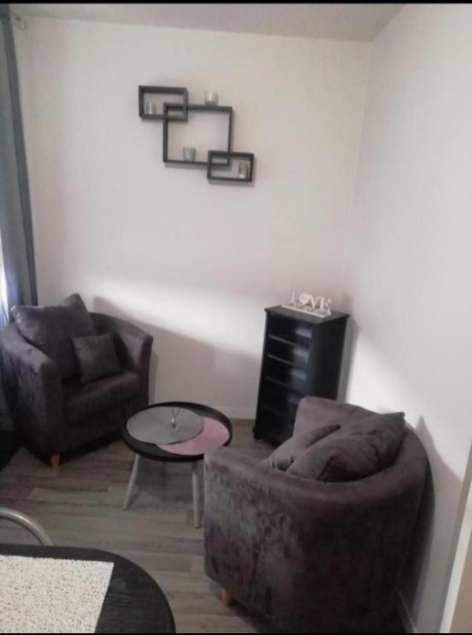 T1 Bis Calme Proche Centre Ville Apartment Saint-Etienne  Ngoại thất bức ảnh