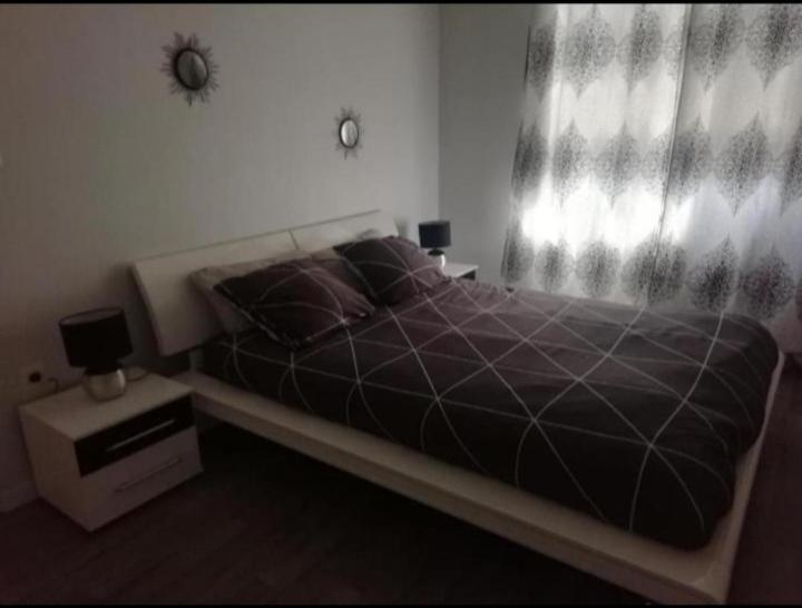 T1 Bis Calme Proche Centre Ville Apartment Saint-Etienne  Ngoại thất bức ảnh